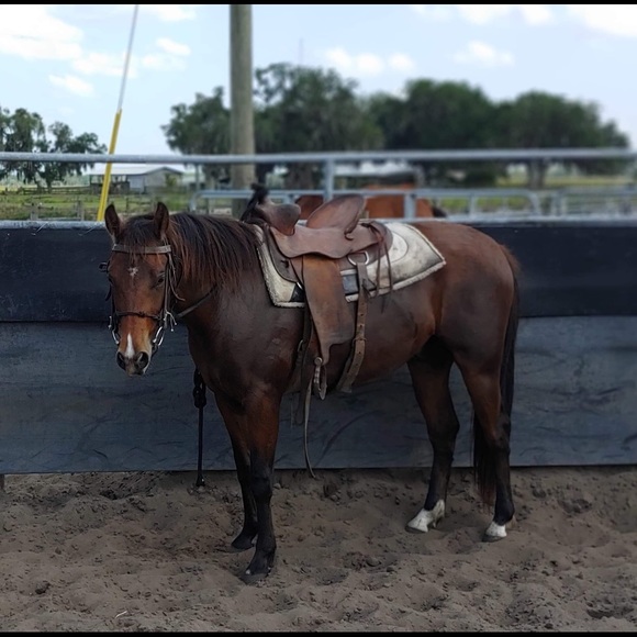 Meet your Posher, Jesse - Picture 1 of 1